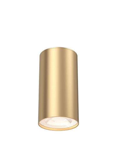 Braytron Mat Gold Yuvarlak Spot Kasa - Gu10 Duy - Modern Tavan Aydınlatma Armatürü