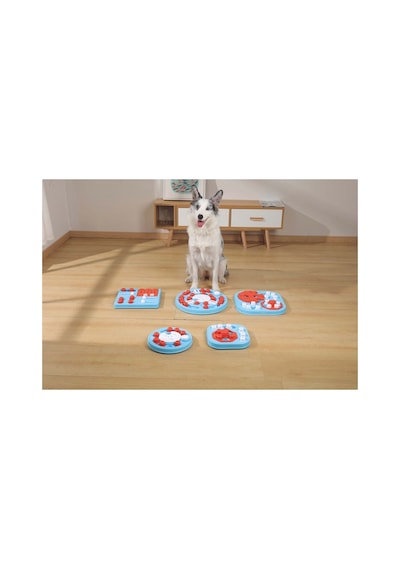 M-pets Braıny Games Galıleo Puzzle 3.seviye