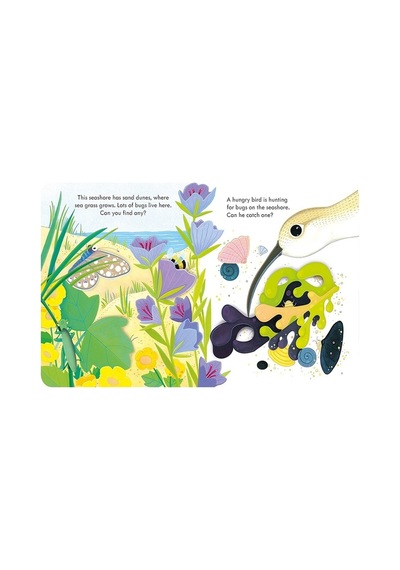 Peep Inside the Seashore- Usborne