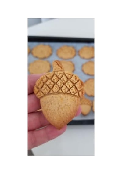 Sincap Ve Meşe Palamudu Kurabiye Kalıbı, Tek Ebat