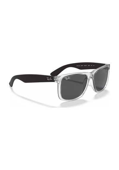 Ray-Ban 4165 651287 55 Unisex Güneş Gözlüğü - 19
