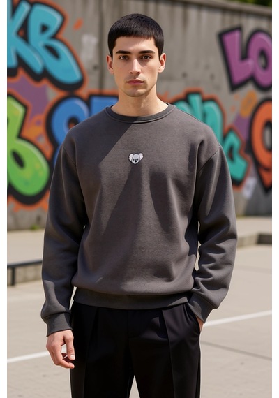 Benerly Erkek Bisiklet Yaka Düşük Kol Nakışlı Oversize Sweatshirt Pamuk Antrasit