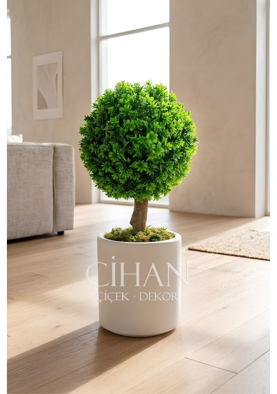 Yapay Top Şimşir Ağacı 70 Cm Uv Dayanıklı - Beyaz 32x30 Silindir Saksı Şimşir Çapı 35 Cm