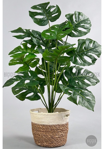 Yapay Monstera Deve Tabani 65 Cm Hasir Saksıda Krem