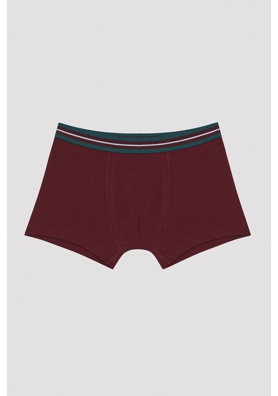 Penti Erkek Çocuk Simple Bn 2'li Boxer Çok Renkli