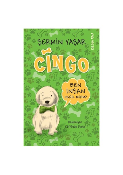 Cingo - Sc Şermin Yaşar - 2 Adet Tarı