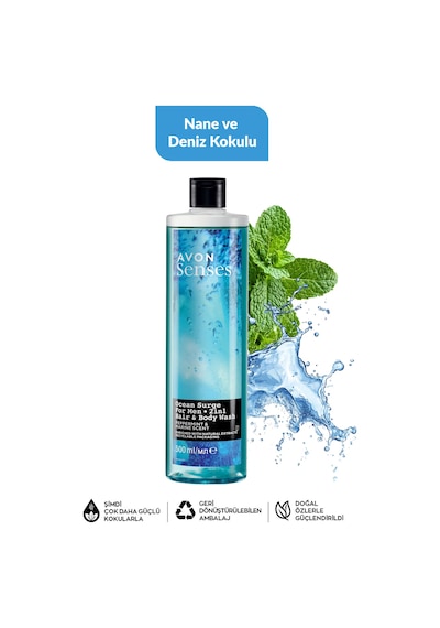 Nane Deniz Adaçayı Sandal Greyfurt Ve Bergamot Kolu Erkek Duş Jeli Paketi Fresh