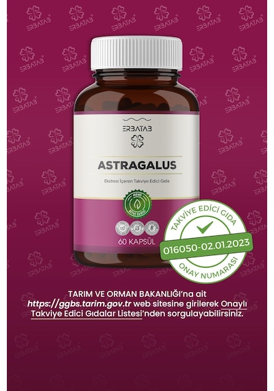 Erbatab Astragalus Çin Geveni Eki 60 Kapsül