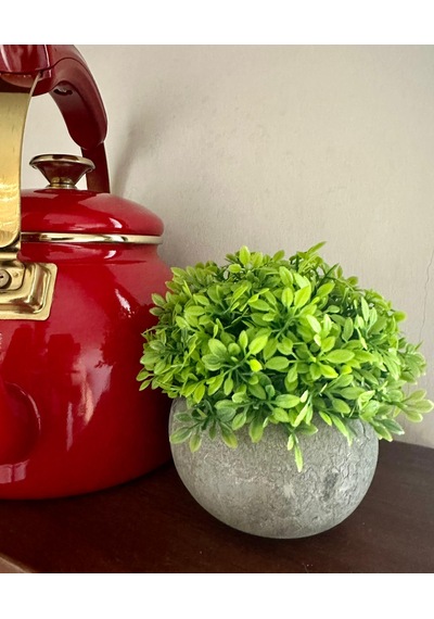 Yapay Şimşir Boxwood Çiçeği Antrasit Modern Saksılı Premium Ev Ofis Dekoru Yeşil