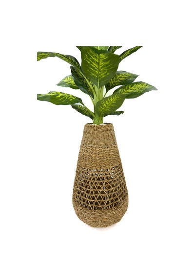 Biçiçek Di̇fenbahya Ağacı 200 Cm Bohem Hasir Saksıda
