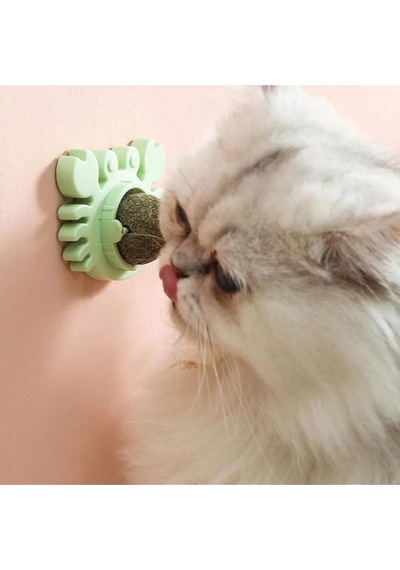 Yengeç Kedi Otu Oyun Topu .