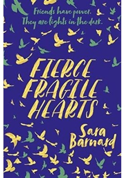 Fierce Fragile Hearts 9781509852888