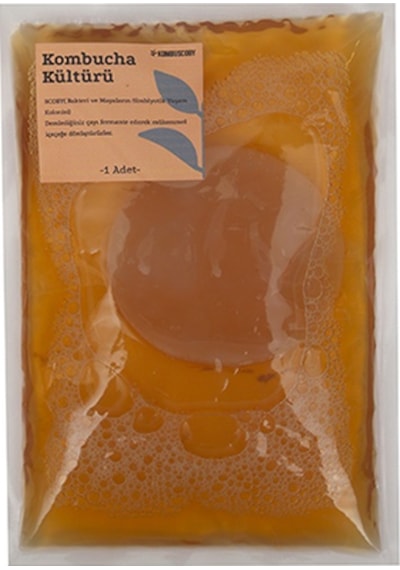 Kombuscoby Kombucha Başlangıç  Kültürü 200 ML