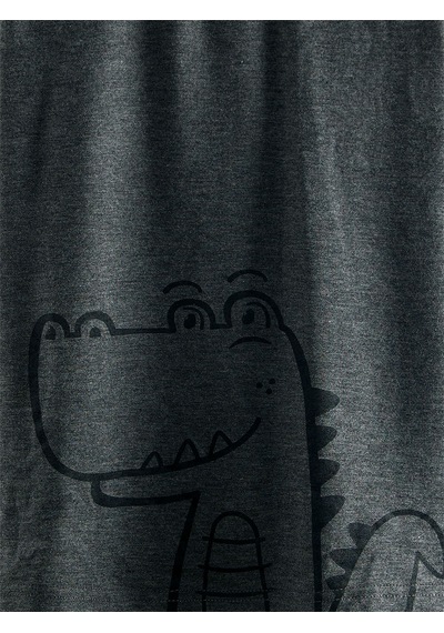 Denokids Dinozor Erkek Çocuk Gri Alt Üst Pijama Takım Renkli Çok Renkli