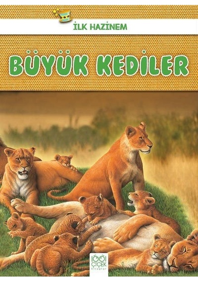 Büyük Kediler-İlk Hazinem - Denise Ryan - 1001 Çiçek