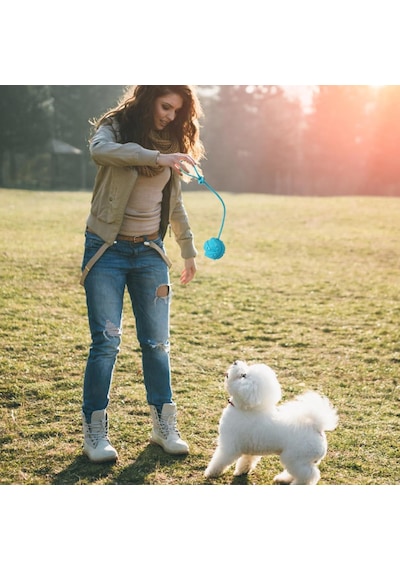 Köpek Eğitim Topu İp, 2 Adet Köpek Halat Oyuncaklar Topu Egzersiz Ve Ödül Oyuncak Köpekler İçin Çiğnemek Eğitim Çekme Atmak Oyuncak Römorkör Oyuncak Köpekler Getirme Oyuncaklar