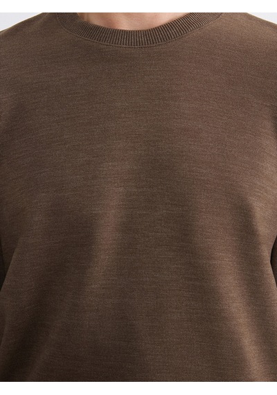 Lcw Vision Kahverengi Regular Fit Bisiklet Yaka Erkek Triko Sweatshirt