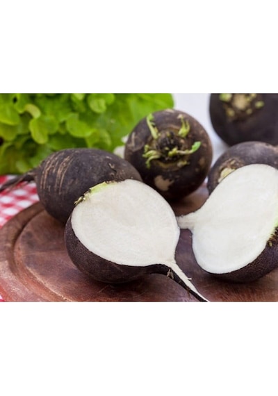 Siyah Turp Tohumu 25GR