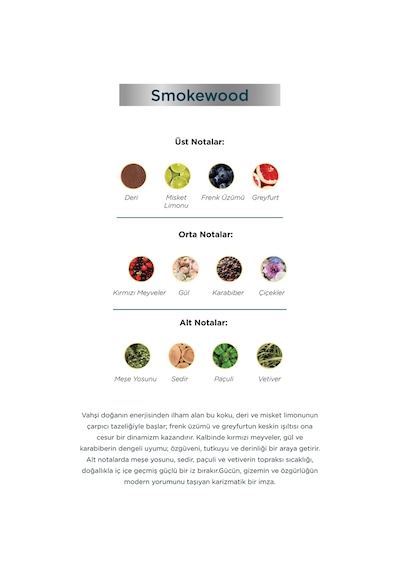 Aryene Smokewood Debut Erkek Parfüm 50 Ml Odunsu