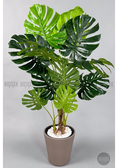 Biçiçek Yapay Monstera Ağacı Deve Tabani 160 Cm Mocha Luna Saksıda