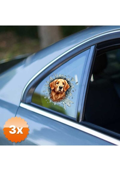 3 Adet Fulcar Köpek Tasarımlı Araç Stickerı 10x10 Cm 4 Model Karışık