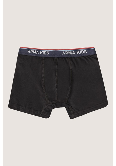 Arma Yıldız Erkek Çocuk Boxer 3'lü Paket Renkli, Pamuklu Ve Likralı Esnek Kumaş Çok Renkli