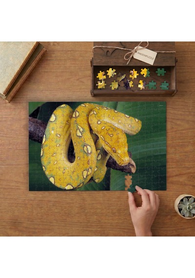 Yeşil Ağaç Pitonu Tasarımı 240 Parça Ahşap Puzzle Ahşap Kutuda Mpy50183