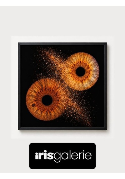 Iris Galerie 25x25 Cm Duo Fusion Light Box Siyah Çerçeveli Işıklı Tablo