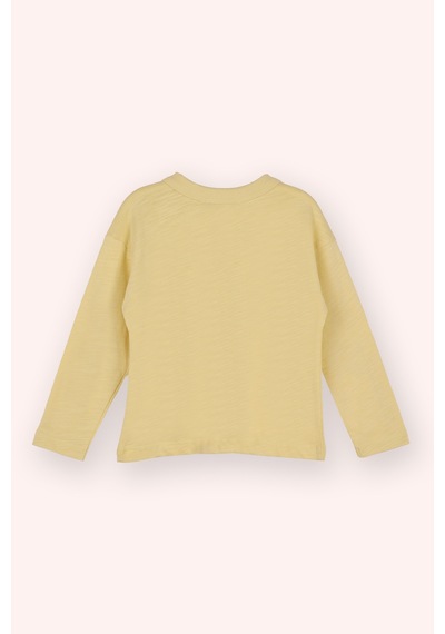 Panço Erkek Çocuk Baskı Detaylı Uzun Kollu T-shirt Sarı