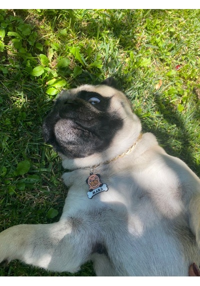 Majo İsimlik Pug 35mmx32mm