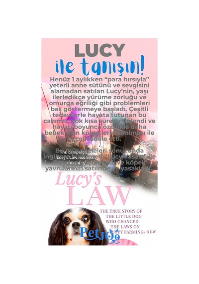 Petjoo 11.Lucy Mavi-Gri Qr'lı Köpek Künyesi