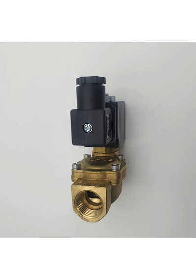 1/2 Nk Gm Solenoid Valf