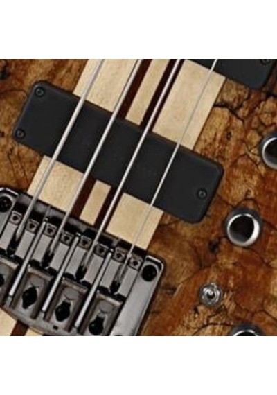 Cort A4 Custom Spnatw Bas Gitar 4 Telli Aktif - Spalted Maple
