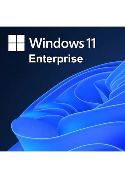 Windows 11 Enterprise Lisans Key