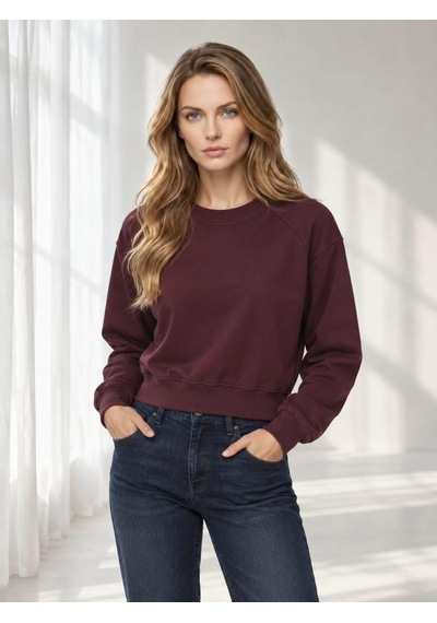 Nealirsanall.com Kadın Bisiklet Yaka Raglan Kol Basic Crop Sweatshirt Kahverengi