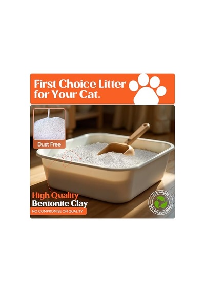 Biokitty Aloe Veralı Kedi Kumu 10 Litre