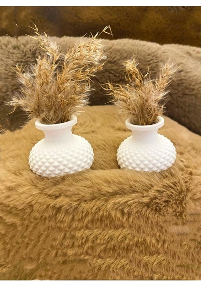 Bernami Vazo Pinterest 2 Adet 4 Cm Minik Vazo Çiçeksiz Ev Salon Aksesuar Dekoratif Diğer