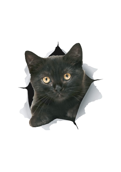 Siyah Labrador Köpek Araba Sticker 18Cm