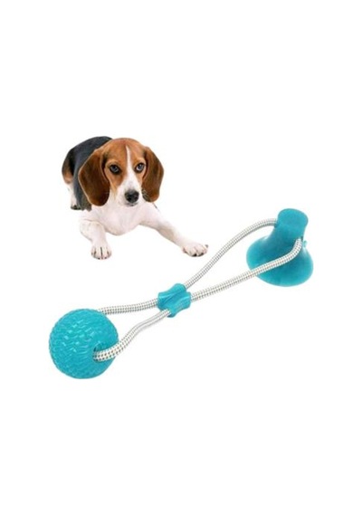 Nunbell Köpek Vantuzlu DişTopu Çok Renkli