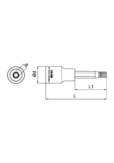 Ceta Form 1/2" Xzn Uçlu Lokma Uzun Tip - M06 X 100 Mm
