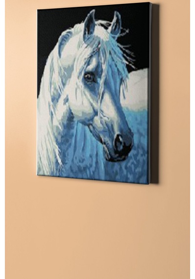 Webstyle Sayılarla Boyama Seti Kasnaklı Kırat 60 X 75 Cm