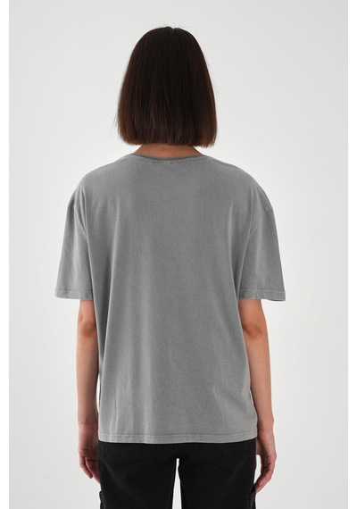 Alexandergardı Baskılı Antrasit Basic T-shirt Gri