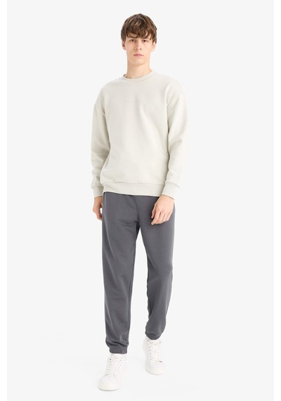 Defacto Boxy Fit Bisiklet Yaka Baskılı Sweatshirt X8282az25aubg672 Bej