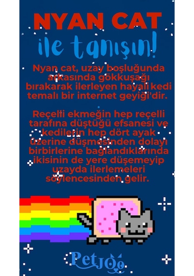 Petjoo 2.Nyan Cat Mavi-Kırmızı Qr'lı Kedi Künyesi