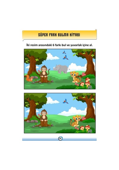Herkes İçin Süper Fark Bulma Kitabı