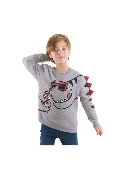 Denokids Şekerci Dino Erkek Çocuk Sweatshirt Çok Renkli