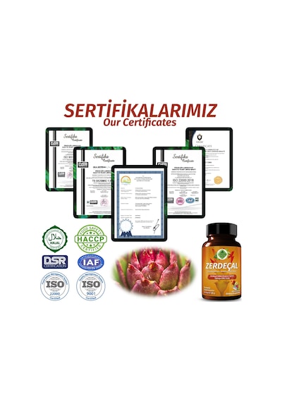 Gökçek Şifa Zerdeçal (Turmeric Capsule) 60 Kapsül