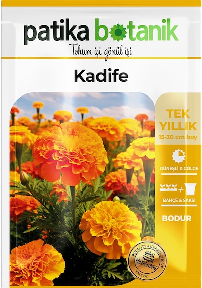 Patika Botanik 50 Adet Bodur Kadife Çiçek Tohumu Tagetes L.