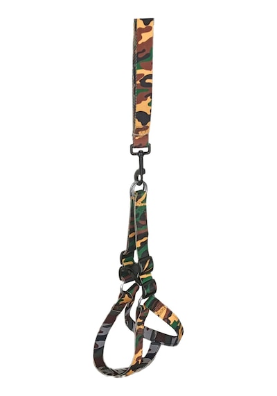 Markapet Köpek Göğüs Tasma Seti Dokuma 3 CM 70-90 CM Kamuflaj Çok Renkli