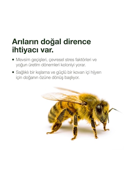 Vetorax Nane Kekik Premiks 5 Litre Arılar İçin Sıvı Yem Premiksi